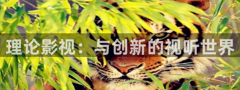 微微一笑很倾城免费观看策驰影院