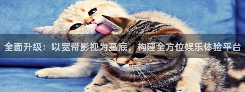 蜀锦策驰影院免费观看